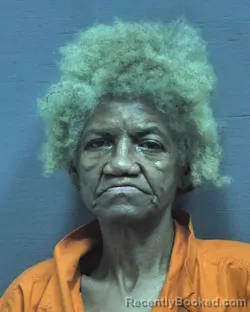 Mugshot of SYBRENIA Ann Vickers