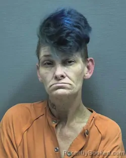 Mugshot of Theresa Marie Pflug
