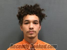 Booking photo from Houston County, Alabama