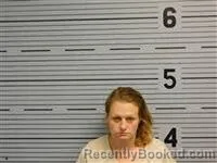 Mugshot of HEATHER LEE