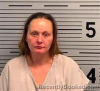 Mugshot of REBECCA DAVIS