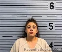 Mugshot of ELIZABETH PETERSON