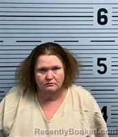 Mugshot of CRYSTAL BORRALLES-LOPEZ