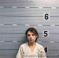 Mugshot of BRIANNA CHAMBERS booked in Jackson County, Alabama on June 26, 2026