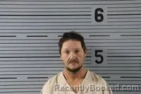 Mugshot of JERRY WALKER