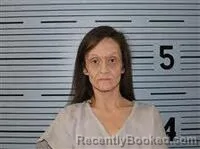 Mugshot of BRANDY COOK