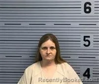 Mugshot of JENNIFER FERGUSON