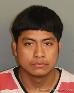 Mugshot of LEONEL FRANCISCO