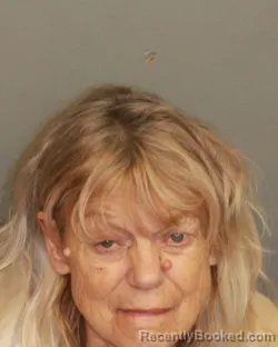 Mugshot of DEBRA SHOEMAKER FORD