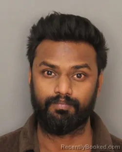 Mugshot of RITWIK MAHARAJAN PILLAI