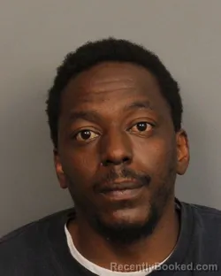 Mugshot of PIERRE RAMON VASSER