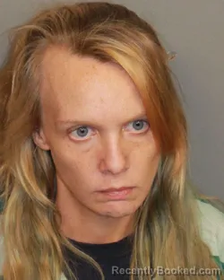 Mugshot of MEGAN ELIZABETH ISBELL