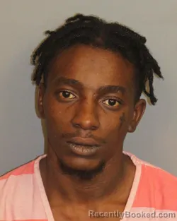 Mugshot of SHAUN MIGUEL COLLINS