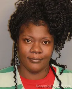 Mugshot of FELESHA RASHAAD MCBRIDE