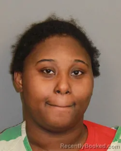 Mugshot of DESTINY TAMAR EVANS