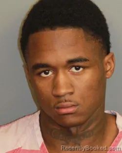 Mugshot of LEEANDRE MARQUAN JONES GAINES