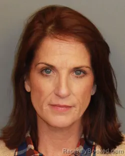 Mugshot of JAMIE LYNN BROWN