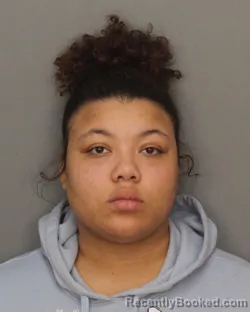 Mugshot of BREANNA FELIX