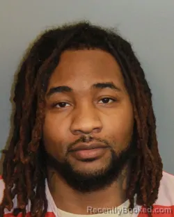 Mugshot of ROBERT TERRENCE Junior CLARKE