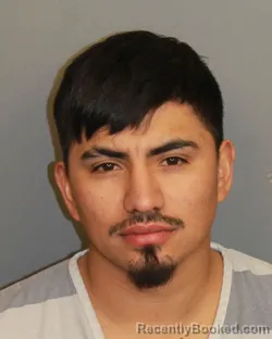 Mugshot of DENIS FERNANDO BARDALES-PADILLA