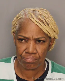 Mugshot of MAE ELLA FORD