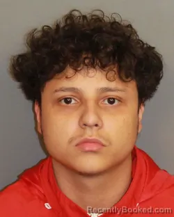 Mugshot of ANTHONY ADALID ROMERO MUNGUIA