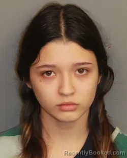 Mugshot of ANGIE TORRONTEGUI