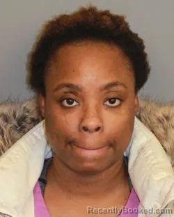 Mugshot of JAMERIA LANISE JOHNSON