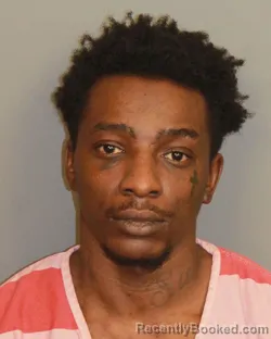 Mugshot of SHAUN MIGUEL COLLINS