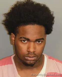 Mugshot of WILLIE JAMES Second NIXON