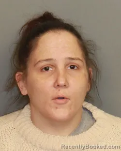 Mugshot of ALLISON JUDITH MANN