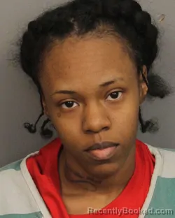 Mugshot of JAMERIA QUANAY SNOWDEN