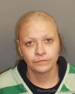 Mugshot of HOLLY KATHRYN STANFORD