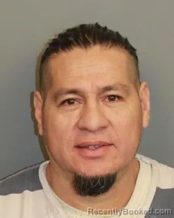 Mugshot of OSCAR VLADIMIR TORRES