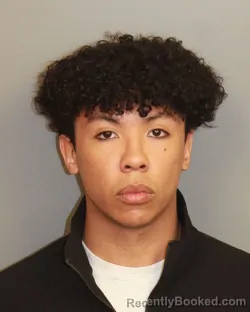 Booking photo from Jefferson County, Alabama