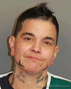 Mugshot of DANA MICHELLE BINDER