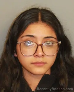 Mugshot of YOSELIN MENDOZA NAMBO