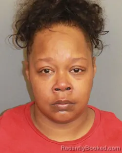 Mugshot of BRITTNEY MICKELLE BROWN