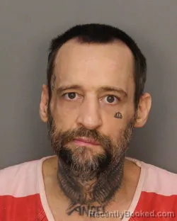 Mugshot of BRANDON SHANE NEGRON