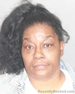 Mugshot of ELAINE WILMANETTE HIGGINS