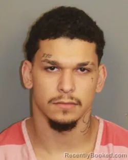 Mugshot of FRANCIER GONZALEZ