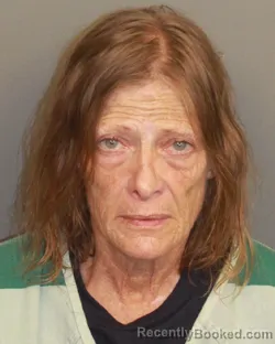 Mugshot of JANET LEE RICHARDS booked in Jefferson County, Alabama on March 18, 2026