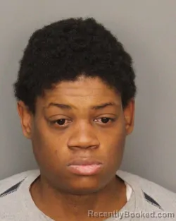 Mugshot of HAILEY MARIE THOMAS