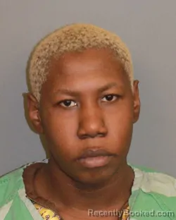 Mugshot of GIZELLE ALEXANDERIA MONEA booked in Jefferson County, Alabama on March 28, 2026