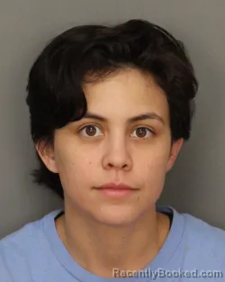 Mugshot of BROOKE ADRIANNA SARADPON booked in Jefferson County, Alabama on April 1, 2026