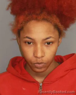 Mugshot of CHAKYAH ROZELL TANAE POWELL booked in Jefferson County, Alabama on April 2, 2026