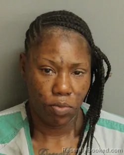 Mugshot of TAMEKA LYNETTE WILLIAMS booked in Jefferson County, Alabama on April 9, 2026