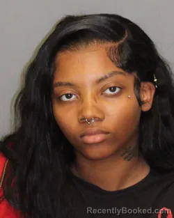Mugshot of PARIS NICHOLS booked in Jefferson County, Alabama on April 22, 2026