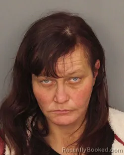 Mugshot of SHANNON REENA ARMSTRONG booked in Jefferson County, Alabama on April 23, 2026