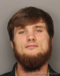 Mugshot of DRISTIN BLAKE CARPENTER booked in Jefferson County, Alabama on April 24, 2026
